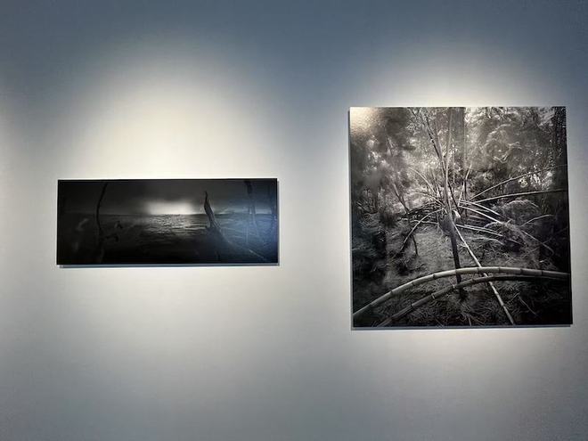 NG28南宫看野生智能艺术展的机械狗、互动影象与虚伪回想(图7)